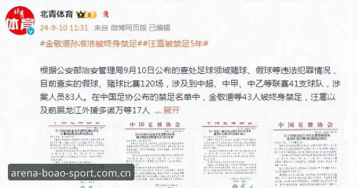 从17人终身禁足到48人五年处罚：新手用BOAO体育官网入口梳理足协第三批名单的使用心得